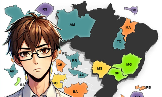 Brazil map puzzle
